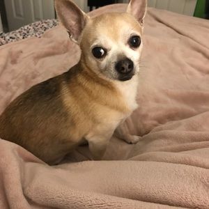 Meet your Posher, Karolina